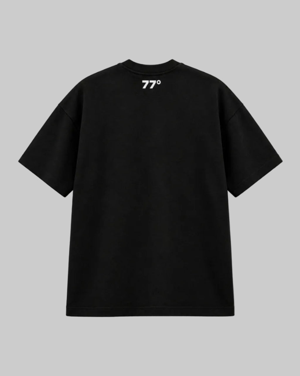 MANALI 77 Mark Heavyweight T-Shirt 240 GSM in black, back view