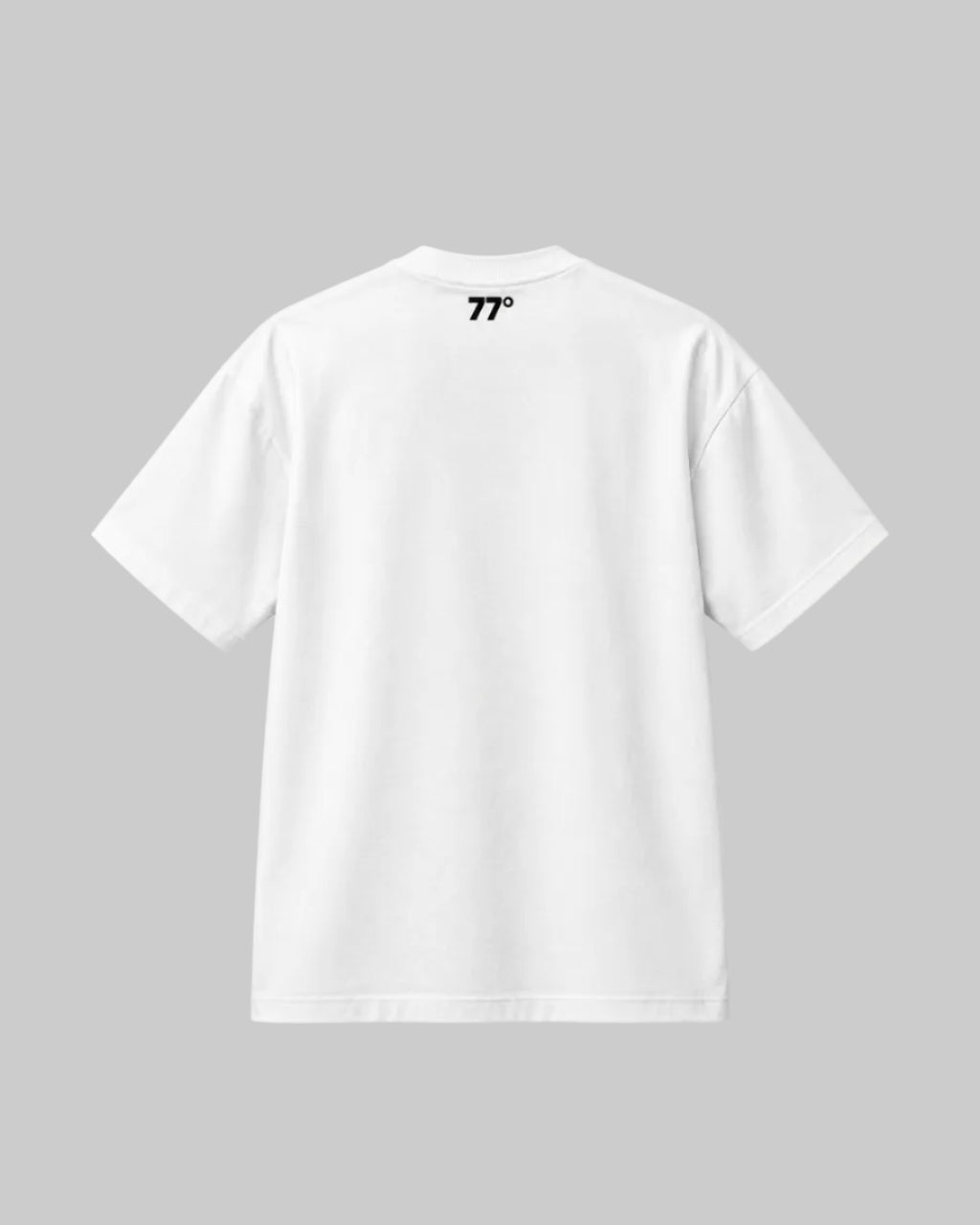 MANALI 77 Mark Heavyweight T-Shirt 240 GSM in white, back view